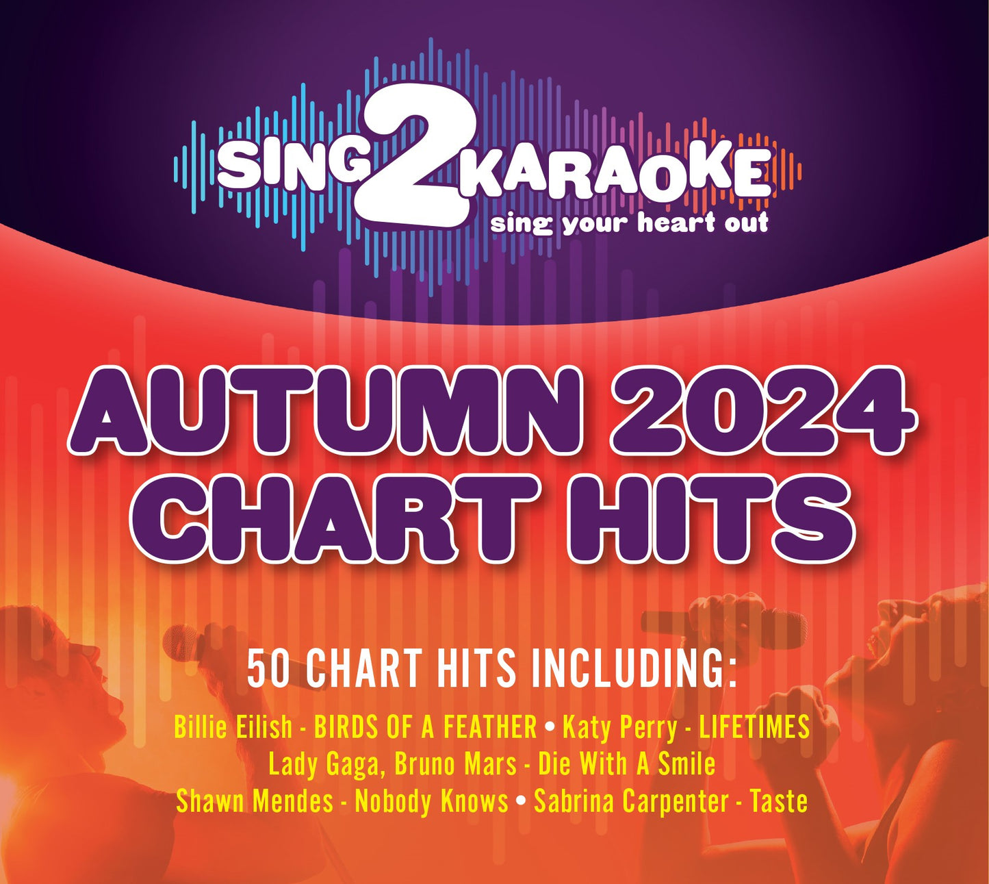 Sing2Karaoke Autumn 2024 50 chart hits USB